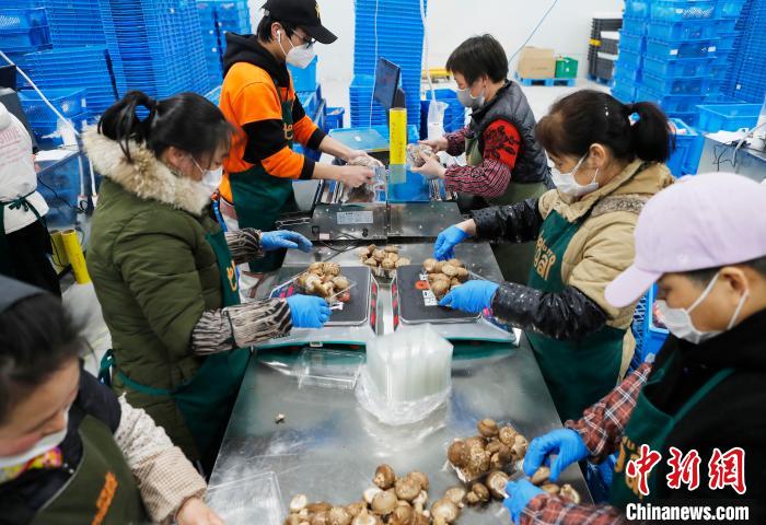 生鲜电商平台与餐饮企业“共享员工”携手破解市民买菜难问题